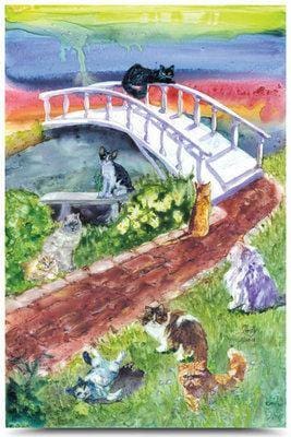Rainbow Bridge Sympathy Card - Cat