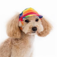 Thumbnail for Rainbow Hat