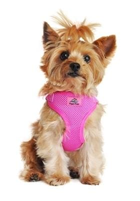 Raspberry Pink Mesh Wrap and Snap Dog Harness