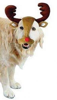Red Nosed Reindeer Dog Headband