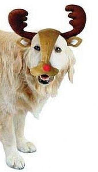 Thumbnail for Red Nosed Reindeer Dog Headband