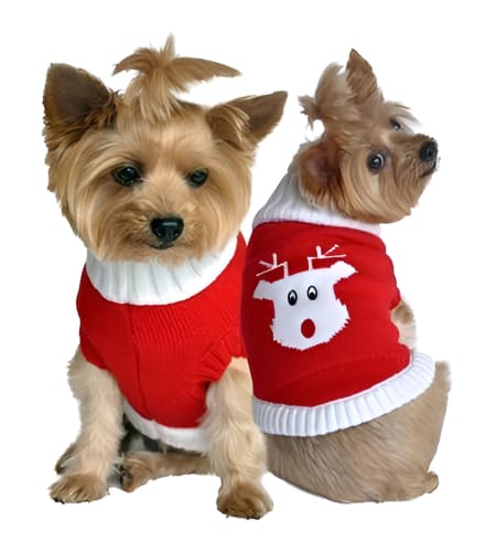 Red Rudolph Dog Sweater