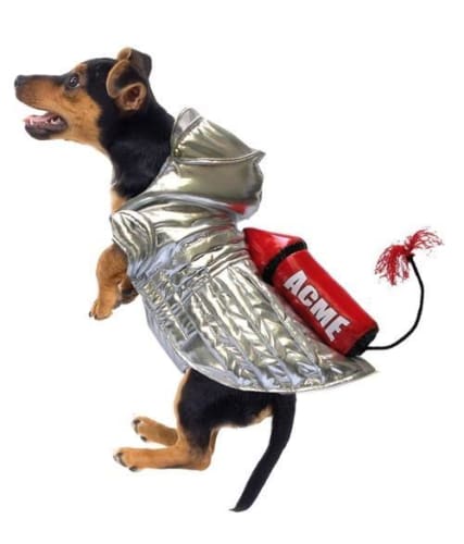 Rocket Space Costume