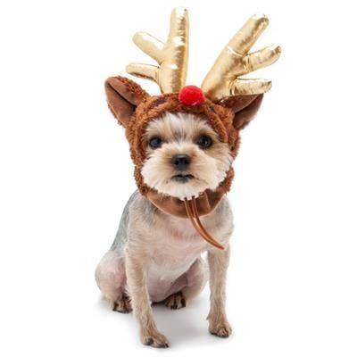 Rudolph Hat - Golden Antlers
