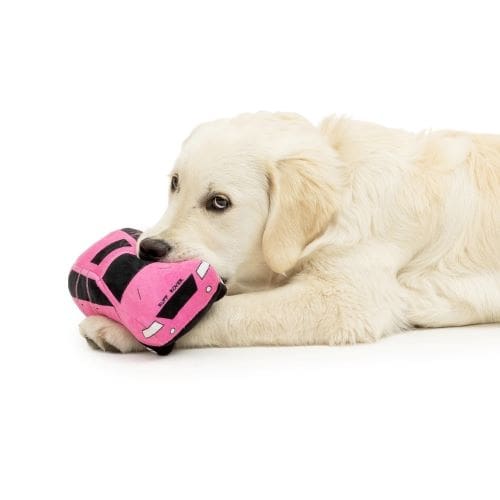 Ruff Rover Pink Dog Toy