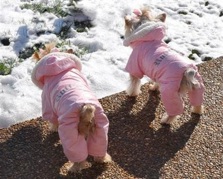 Ruffin It Pink Snow Suit