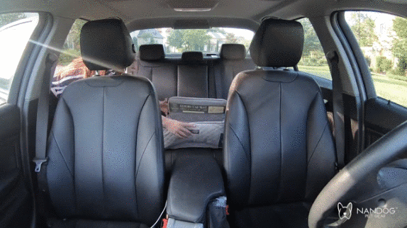 Safest Dog Car Seat