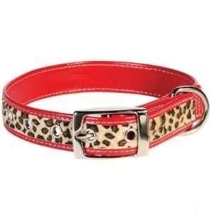 Safari Dog Collar- Red Leopard