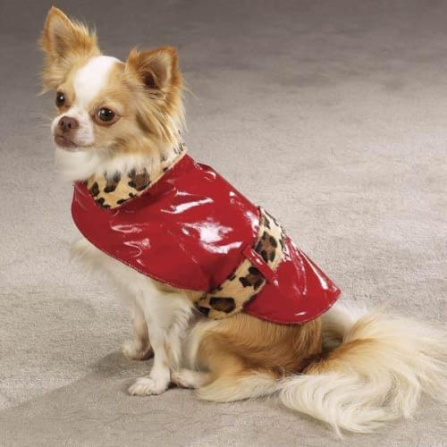 Safari Rain and Shine Dog Coat