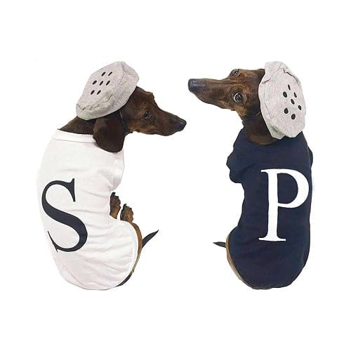 Salt or Pepper Pet Costume