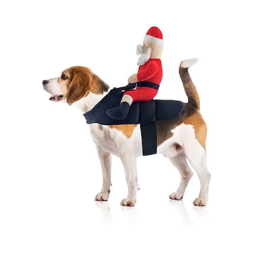 Santa Claus Jockey Dog Costume
