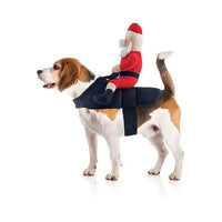 Thumbnail for Santa Claus Jockey Dog Costume
