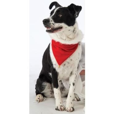 Santa Dog Bandana