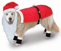 Thumbnail for Santa Dog Suit