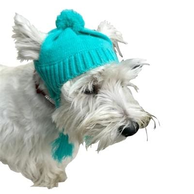 Scottish Cable Knit Dog Hat - Turquoise
