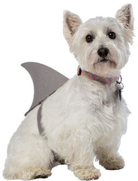 Thumbnail for Shark Fin Pet Costume