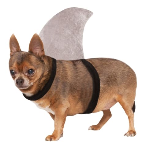 Shark Fin Pet Costume