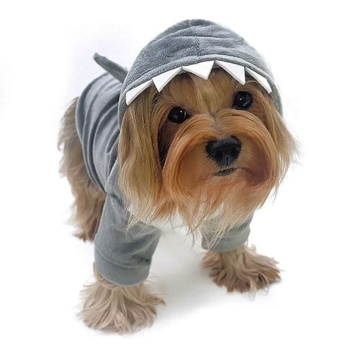 Shark Dog Hoodie with Fin & Teeth