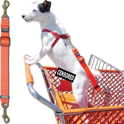 Shopping Cart Tether for Pets