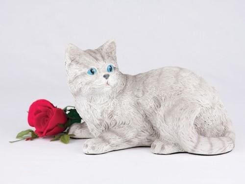 Shorthair Cat Striped Grey Tabby