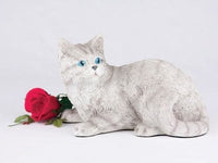 Thumbnail for Shorthair Cat Striped Grey Tabby