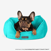 Thumbnail for Signature Bed in Aqua