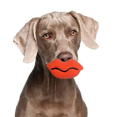 Silly Faces Lips Dog Chew Toy