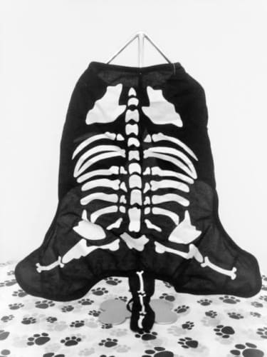 Skeleton Dog Costume