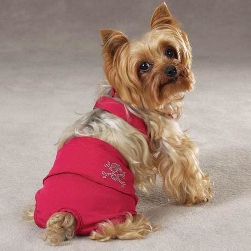 Skull Crossbones Dog Bikini