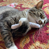Thumbnail for Smokey’s Stash Catnip Joints (5 Pack)