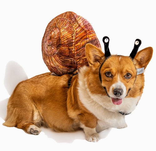 Snail Costume