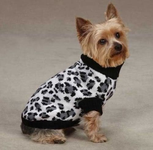 Snow Leopard Dog Sweater