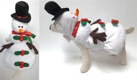 Thumbnail for Snowman Costume