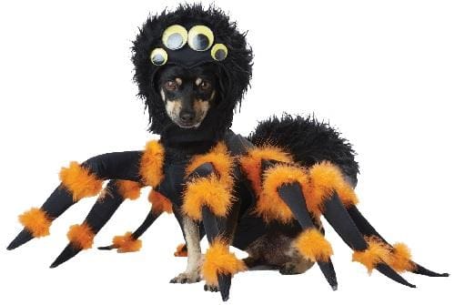 Spider Pup Costume