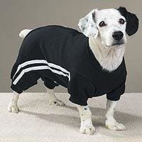 Sporty Dog Sweatsuit