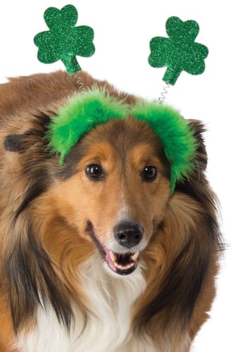 St. Patrick’s Dog Headband Boppers