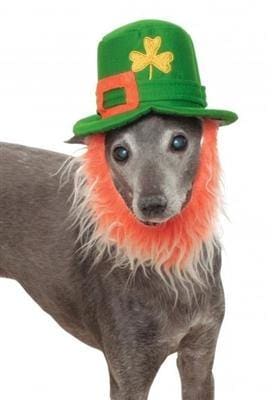 St Pattys Day Dog Hat with Beard