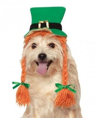 St Pattys Day Dog Hat with Braids