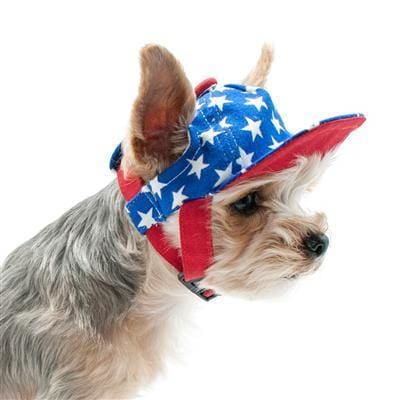 Patriotic Star Dog Hat
