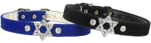 Star of David Dog Collar