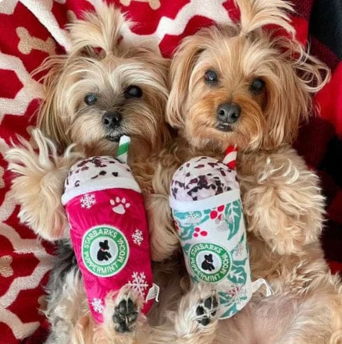 Starbarks Puppermint Mocha Dog Toy - Holiday Dots