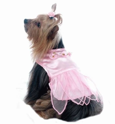 Sweet Angel Dog Dress