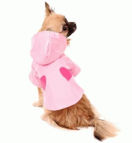 Sweetheart Dog Raincoat