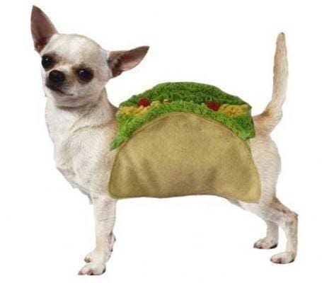 Taco Dog Costume