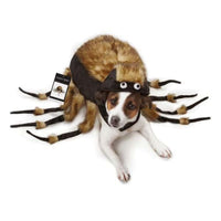 Thumbnail for Tarantula Costume