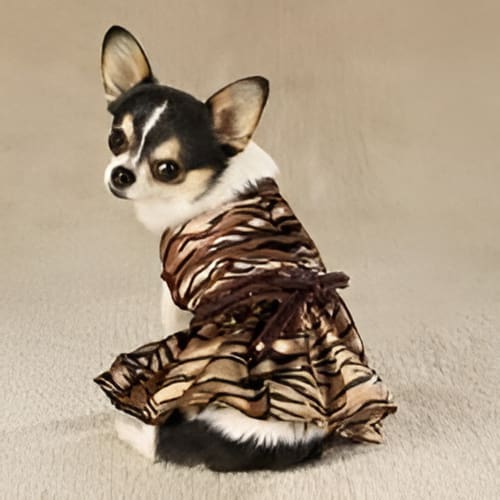 Tigress Dog Dress