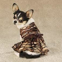 Thumbnail for Tigress Dog Dress