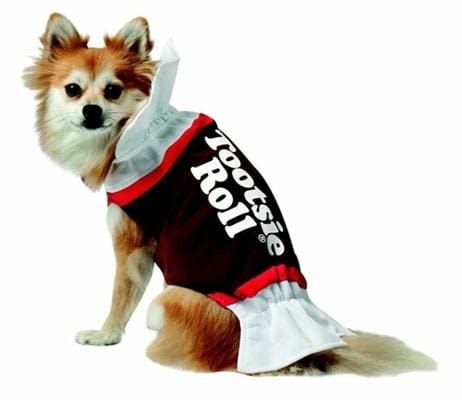 Tootsie Roll Pet Costume