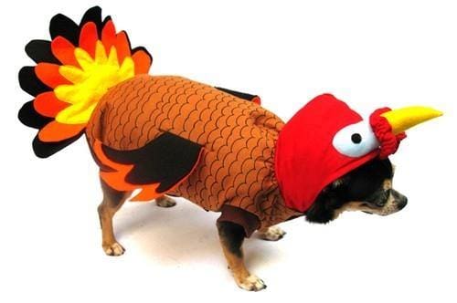 Turkey Costume