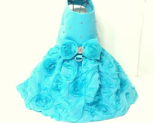 Turquoise Rose Harness Dog Dress